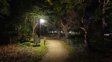 Kiba Parkı, Japonya Tokyo Gece Manzarası 2025