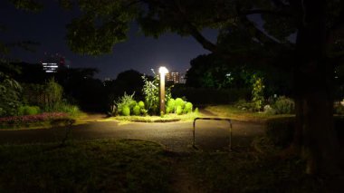 Kiba Parkı, Japonya Tokyo Gece Manzarası 2025