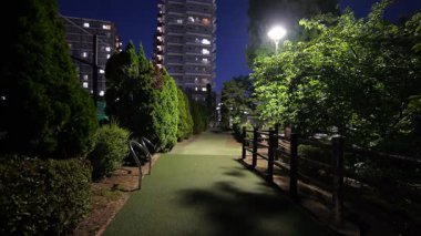 Toyosumi Parkı, Japonya Tokyo Gece Manzarası 2025