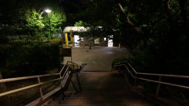 Toyosumi Parkı, Japonya Tokyo Gece Manzarası 2025