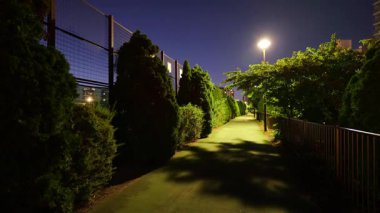 Toyosumi Parkı, Japonya Tokyo Gece Manzarası 2025