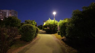 Toyosumi Parkı, Japonya Tokyo Gece Manzarası 2025