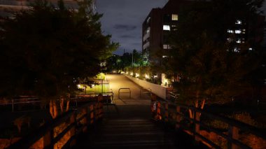 Kiba Shinsui Parkı, Japonya Tokyo Gece Manzarası 2025