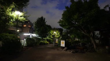 Fukutomigawa Parkı, Japonya Tokyo Gece Manzarası 2025