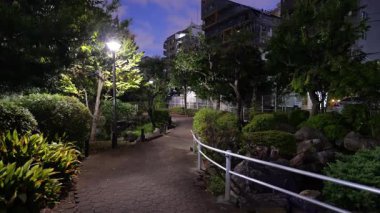 Fukutomigawa Parkı, Japonya Tokyo Gece Manzarası 2025