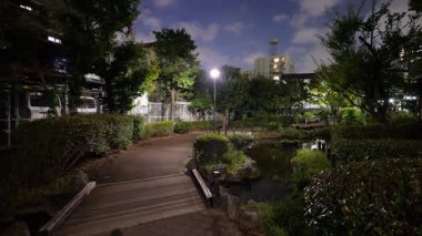 Fukutomigawa Parkı, Japonya Tokyo Gece Manzarası 2025