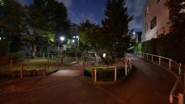 Fukutomigawa Parkı, Japonya Tokyo Gece Manzarası 2025