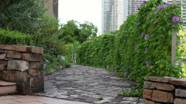 Harumi Triton Meydanı, Japonya Tokyo Sabah 2025