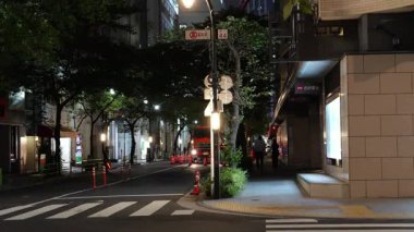 Nihonbashi, Japonya Tokyo Gece Manzarası Temmuz 2025