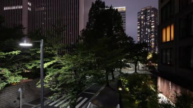 Ark Hills, Japonya Tokyo Gece Manzarası 2025