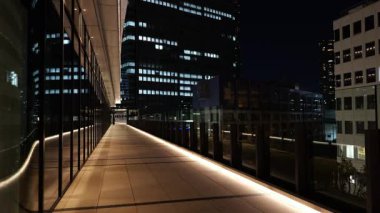 Tokyo Liman Kenti Takeshiba, Japon Gece Manzarası 2025