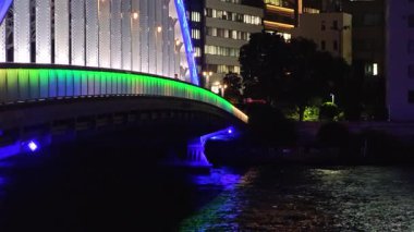 Eitai Köprüsü Gece Manzarası, Japonya Tokyo Kasım 2025