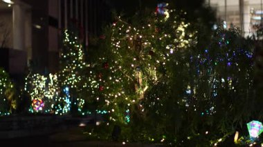 Kış aydınlatması, Tokyo Japonya