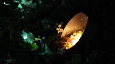 Kış aydınlatması, Tokyo Japonya