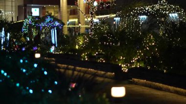 Kış aydınlatması, Tokyo Japonya