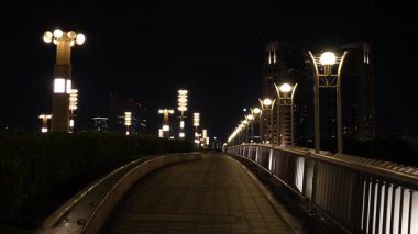 Odaiba Gece Manzarası, Japonya Eylül 2023