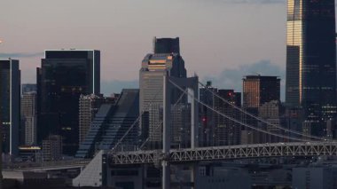 Tokyo Odaiba Gözlem Güvertesi Akşam Görüşü 2023