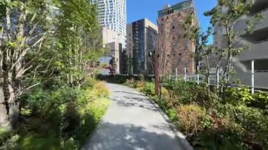 Shibuya Sakura Sahnesi, Japonya Tokyo Şubat 2024