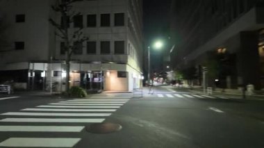 Tokyo gece bisiklet kamerası sürücüsü 2024