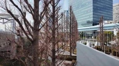 Tokyo Büyük Görüş Gündüz Manzarası 2024