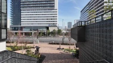 Toyosu Pazarı, Japonya Tokyo Şubat 2024