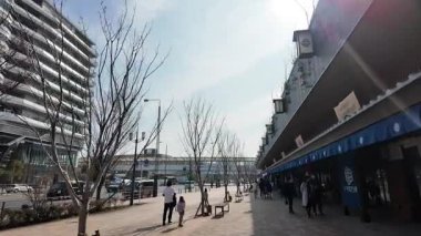 Toyosu Pazarı, Japonya Tokyo Şubat 2024