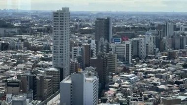 Havuç Kulesi Gözlem Güvertesi, Tokyo Sangenjaya 2024