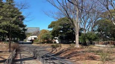 Komazawa Parkı, Japonya Tokyo Peyzaj 2024