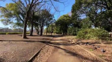 Komazawa Parkı, Japonya Tokyo Peyzaj 2024