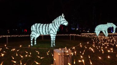 Motofuchie Park Kış Işığı, Japonya Tokyo 2024