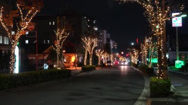 Motofuchie Park Kış Işığı, Japonya Tokyo 2024