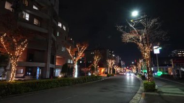 Motofuchie Park Kış Işığı, Japonya Tokyo 2024