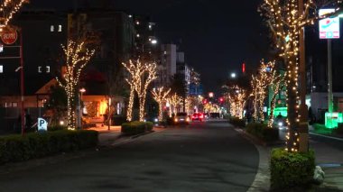 Motofuchie Park Kış Işığı, Japonya Tokyo 2024