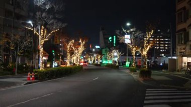Motofuchie Park Kış Işığı, Japonya Tokyo 2024