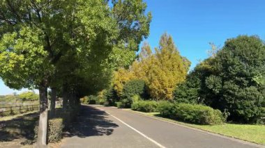 Sai Gölü, Japonya Saitama Manzarası 2024