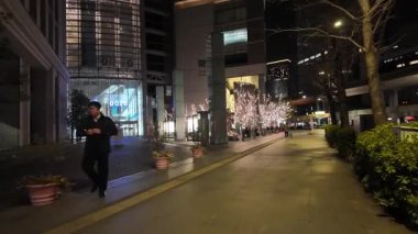 Marunouchi, Tokyo Japon Gece Manzarası 2024