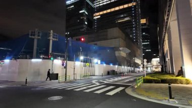 Tokyo Yaesu gece gezisi videosu 2024