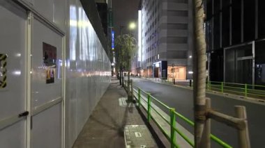 Tokyo Yaesu gece gezisi videosu 2024