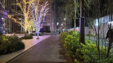 Tokyo Yaesu gece gezisi videosu 2024