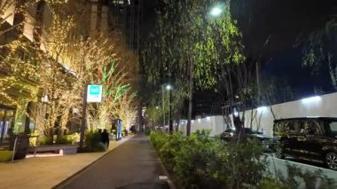 Tokyo Yaesu gece gezisi videosu 2024