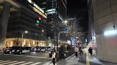 Tokyo Yaesu gece gezisi videosu 2024