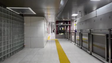 Tokyo İstasyonu Yaesu geçidinde yürüyen video altgeçidi