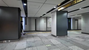 Tokyo İstasyonu Yaesu geçidinde yürüyen video altgeçidi