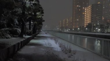 Tokyo 'da yoğun kar gecesi manzarası 2024