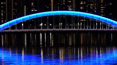 Eitai Köprüsü Gece Manzarası, Japonya Tokyo Ocak 2025