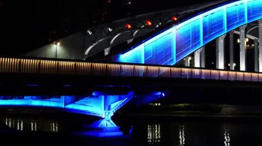 Eitai Köprüsü Gece Manzarası, Japonya Tokyo Ocak 2025