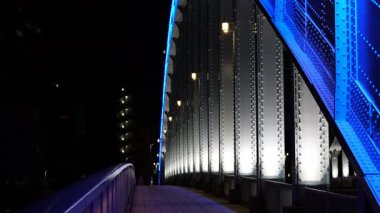 Eitai Köprüsü Gece Manzarası, Japonya Tokyo Ocak 2025