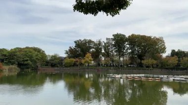 Ukima Parkı, Japonya Tokyo 2024