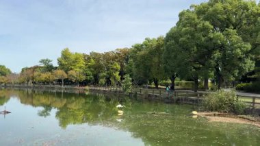 Ukima Parkı, Japonya Tokyo 2024