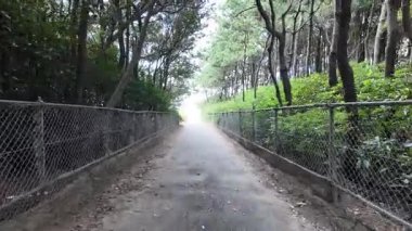 Makuhari Sahili, Japonya Manzarası 2024